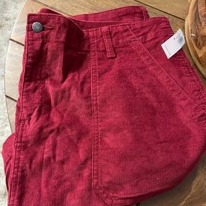 NWT dark red corduroy skirt